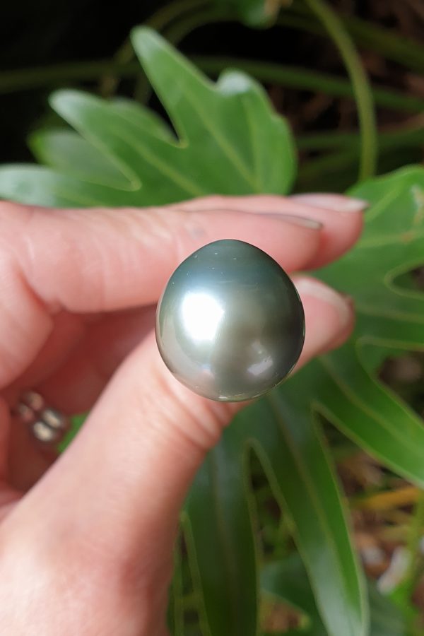 14.5mm Tahitian South Sea Pearl